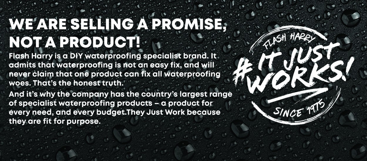 Flash Harry Home Banner